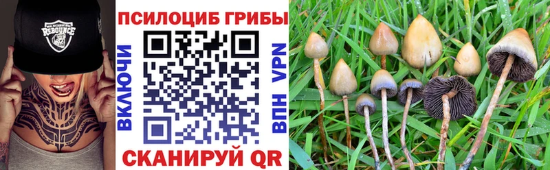 нарко площадка как зайти  Вуктыл  Псилоцибиновые грибы Psilocybe 
